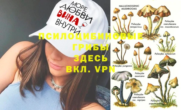 крисы Белокуриха