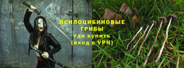 крисы Белокуриха