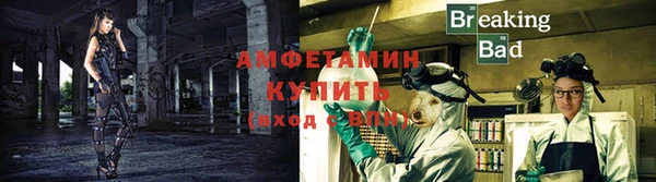 крисы Белокуриха