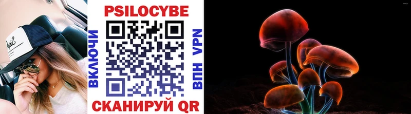 Галлюциногенные грибы мухоморы  Кириллов 